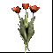 tulip3.gif
